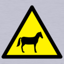 w506-warning-horses~